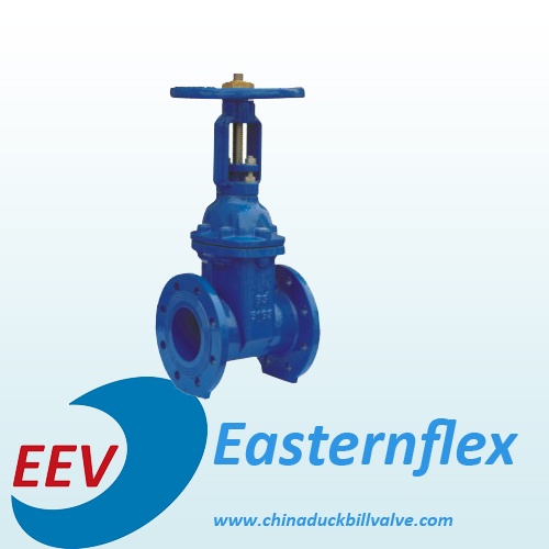 Series BS5163 Rising Resilient Seated Gate Valve